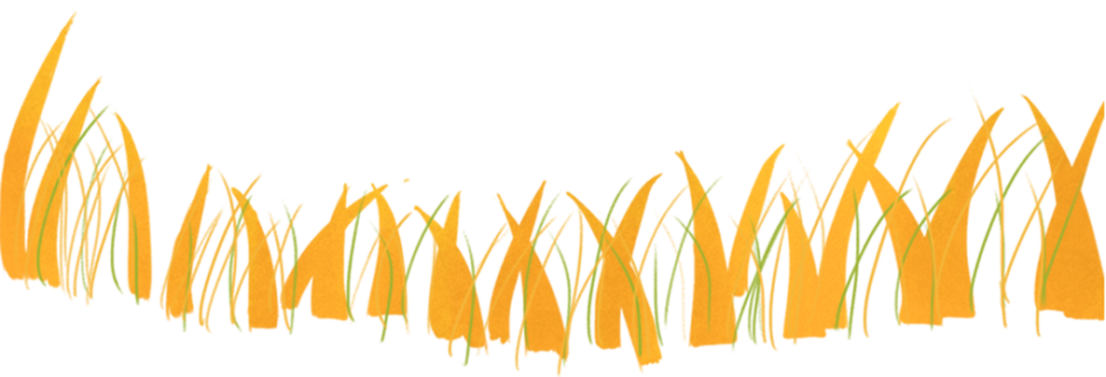 北京|安排！7条京郊步道＋10条重点路线，初秋北京出游攻略大放送！