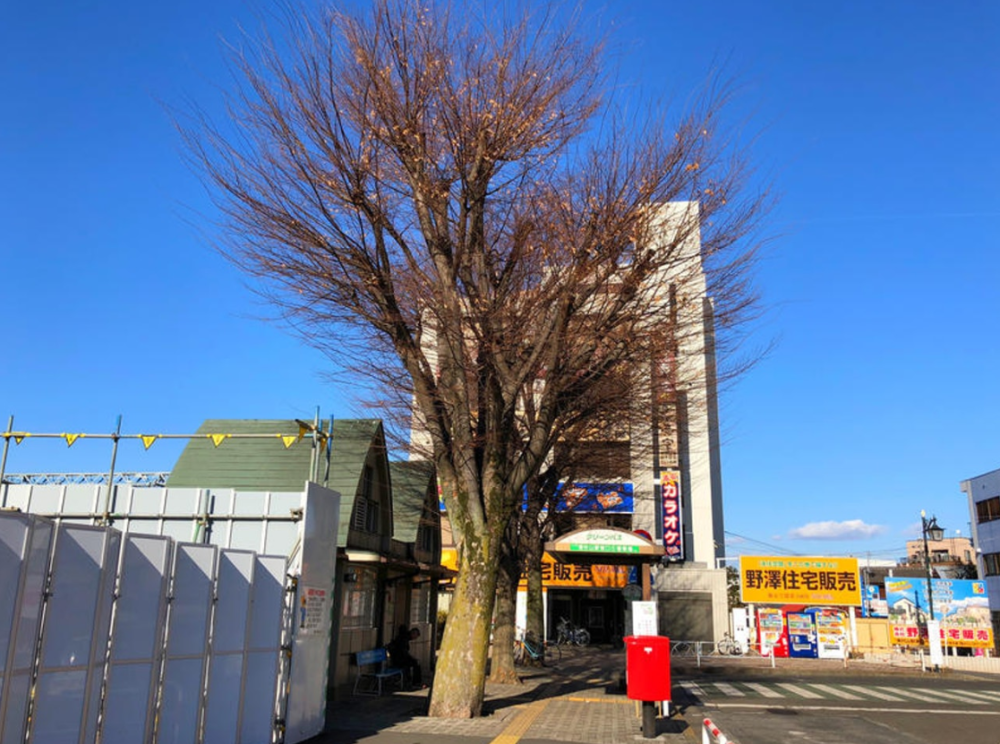 志村健出生於東京都東村山市,作為日本家喻戶曉的知名藝人,志村健理所