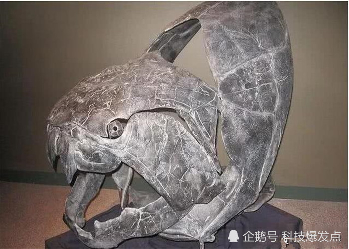 4亿年前泥盆纪时期的远古生物化石,被科学家发现,让人心生畏惧!