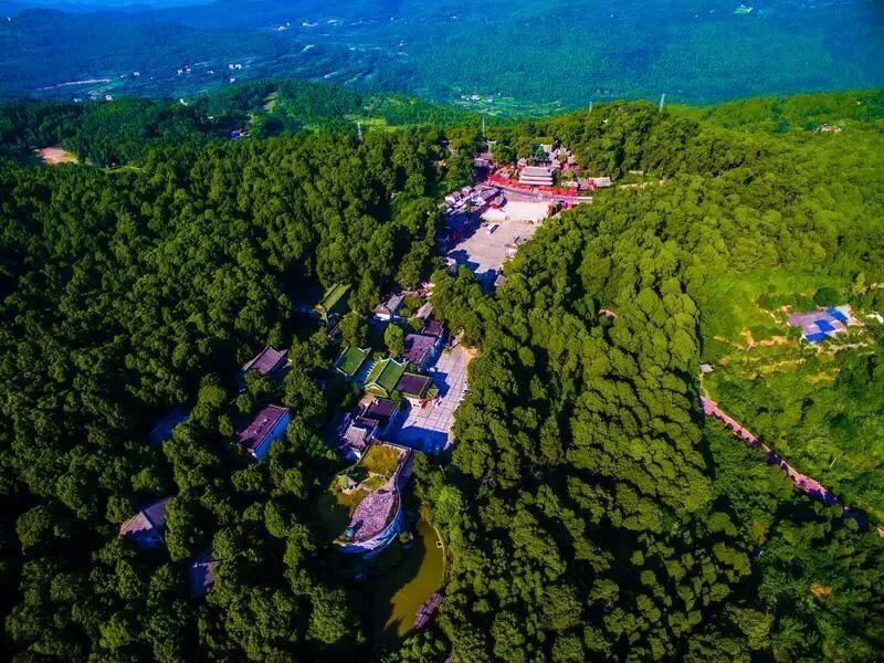 每年春天,七曲山风景区古柏林成为游客踏青旅游的好地方.