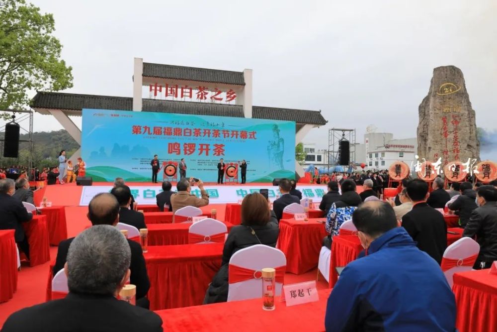 第九届福鼎白茶开茶节开幕