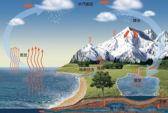 如果地表植被遭到破坏对于地表径流会产生怎样的影响