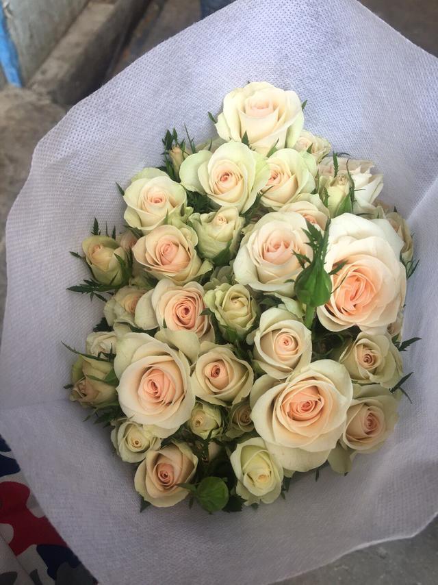 浪漫爱人优雅夫人粉色记忆甜心晴天甜玲珑帕尔马初雪芙蓉雨目前市面上