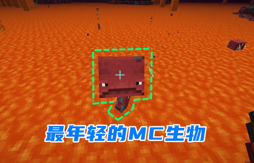 我的世界 你知道怪物的年龄吗 最老的怪物比玩家都年龄大 腾讯新闻