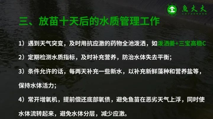 黄颡鱼|鱼价又涨5毛！黄颡鱼标苗如何提高成活率？学会这七点！