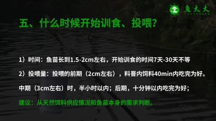 黄颡鱼|鱼价又涨5毛！黄颡鱼标苗如何提高成活率？学会这七点！