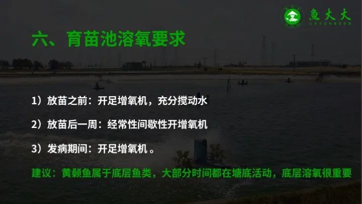 黄颡鱼|鱼价又涨5毛！黄颡鱼标苗如何提高成活率？学会这七点！