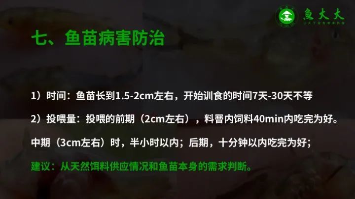 黄颡鱼|鱼价又涨5毛！黄颡鱼标苗如何提高成活率？学会这七点！