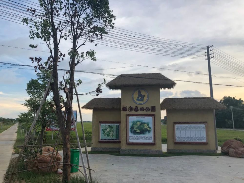 雷州市客路镇"稻海桑田公园"