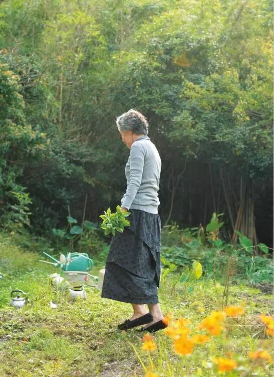 73岁,虽然头发花白皱纹满面,她是坂井顺子,在岁月流逝中活出一种积存