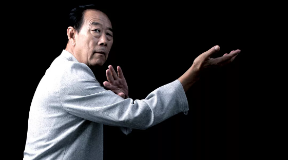 王西安演绎散手48式实战性不一般