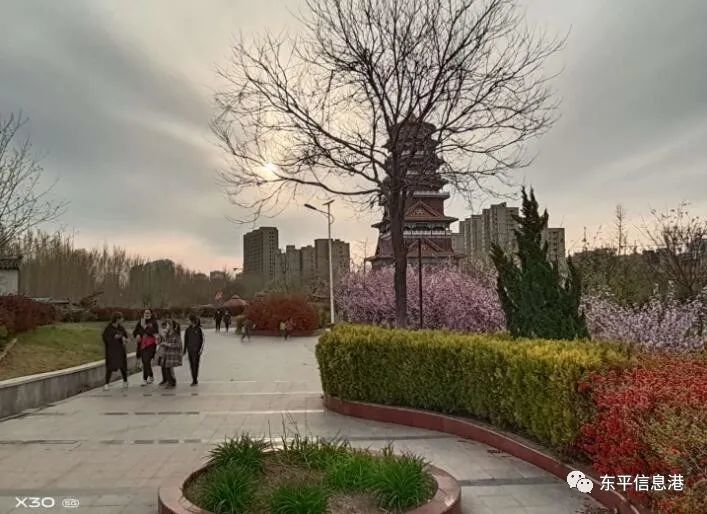 美景可期东平清河公园进行改造提升