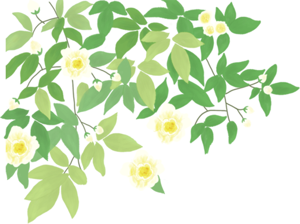 石景山区|森林城市天然氧吧，暑伏之际，来石景山开“森”一夏