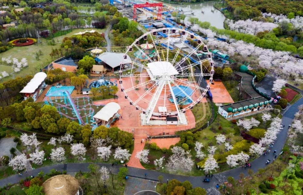 航拍視角下的顧村公園見過嗎?每張圖片都能當屏保,快來保存_騰訊新聞