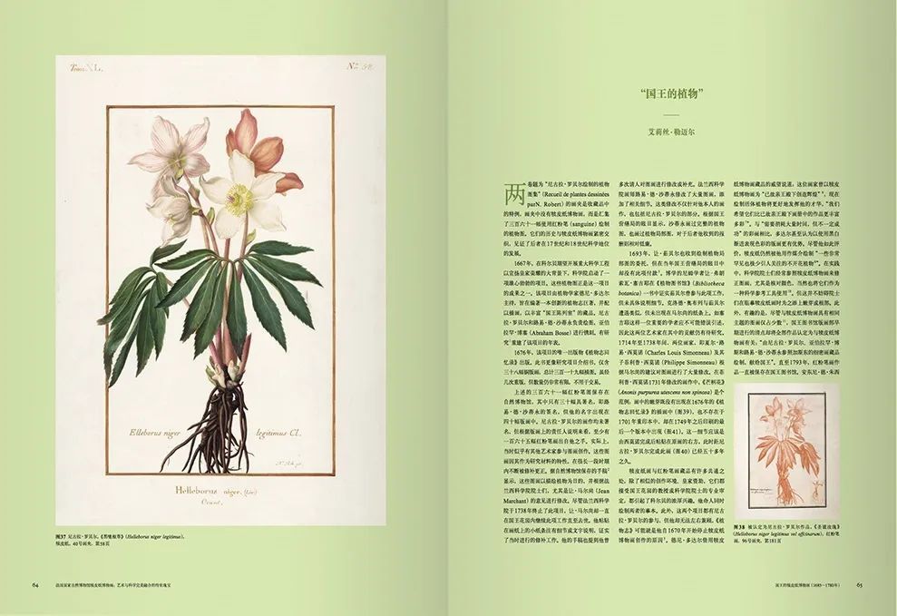 法国|这本14斤重的书里，藏着法国皇室400年不外传的珍品