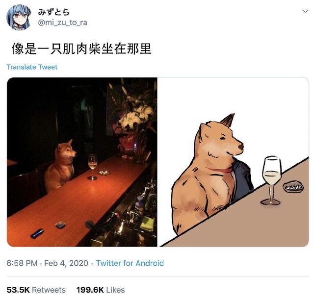 肌肉柴犬和小废柴手办图片