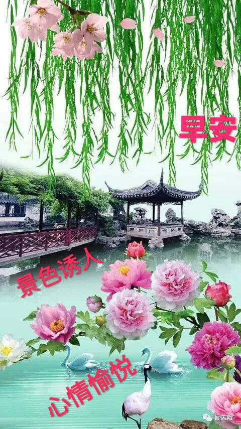 春季早安图片大全图片带文字 春天早上好动态图片2022 最新周二早上好