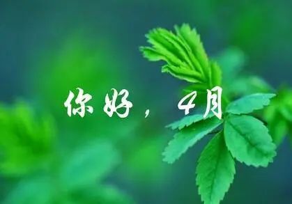 三月再见,四月你好的特别暖心早上好的句子 早安问候语每日更新