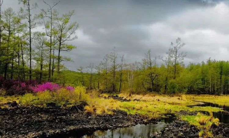 游伟教授诗选:日见山青绿送新