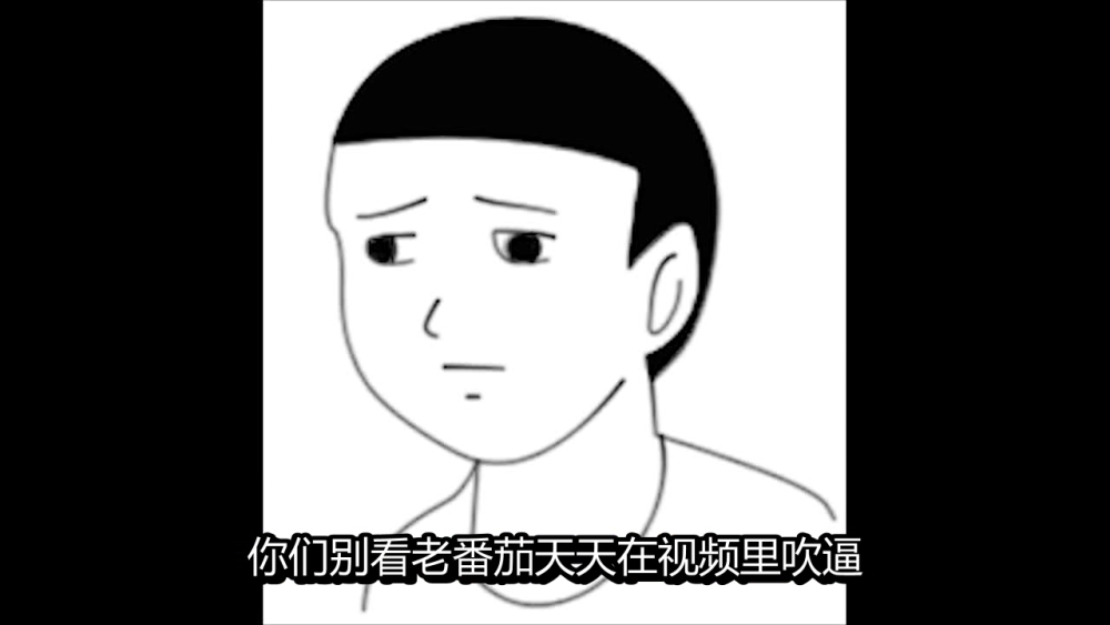 复旦之耻老番茄北邮一般何同学