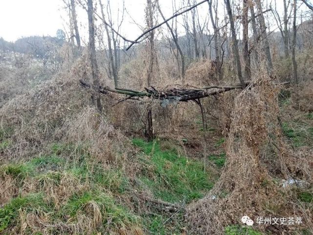 华州五龙山上的洞与郭暧墓