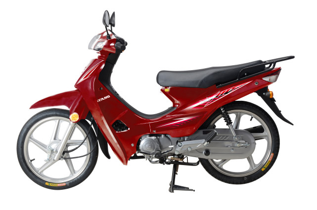 大阳经典弯梁dy1102n焕新上市双离合发动机售价5180元