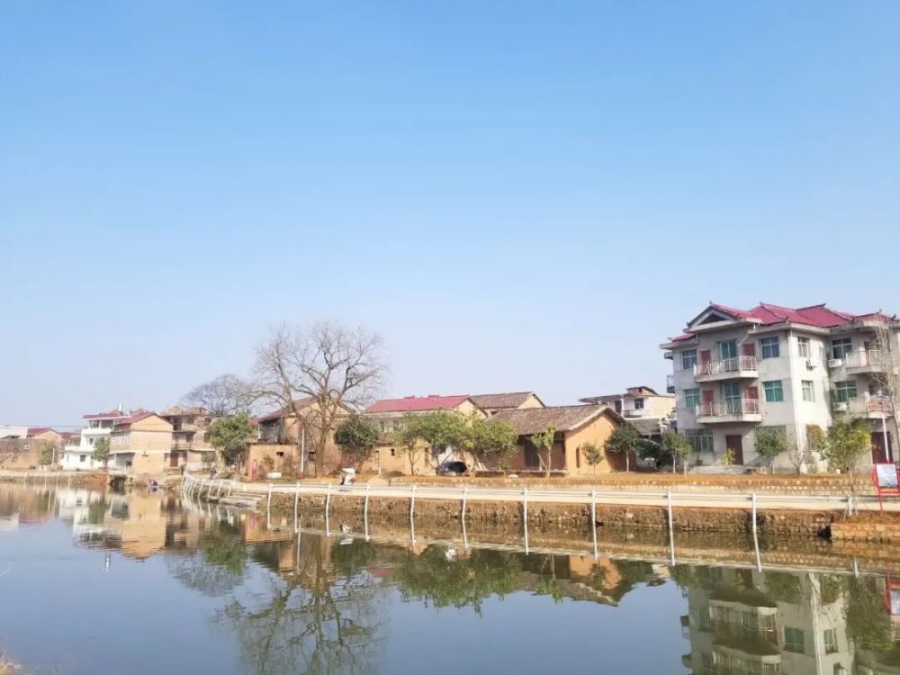 滩头村一场化茧成蝶的蜕变