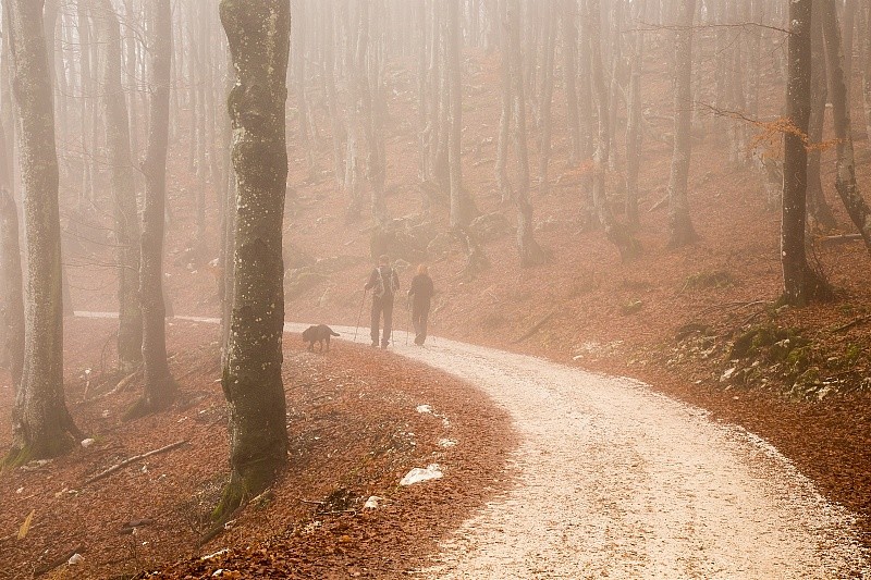 好文共读孩子不要怕走弯路走弯路是人生的一部分