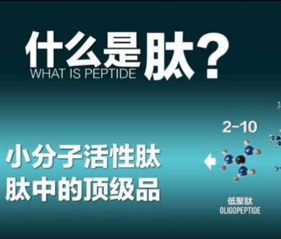 肽,又分为1000-6000道尔顿的多肽和1000道尔顿以内的寡肽(或称短肽,三