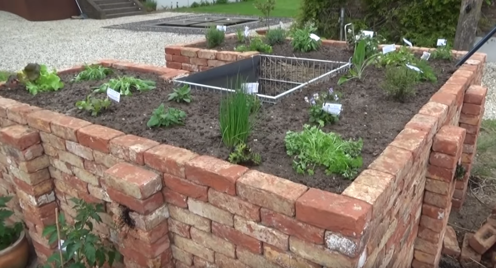 装修剩的红砖有妙用砌个u型环绕式菜园比整片的菜地好用