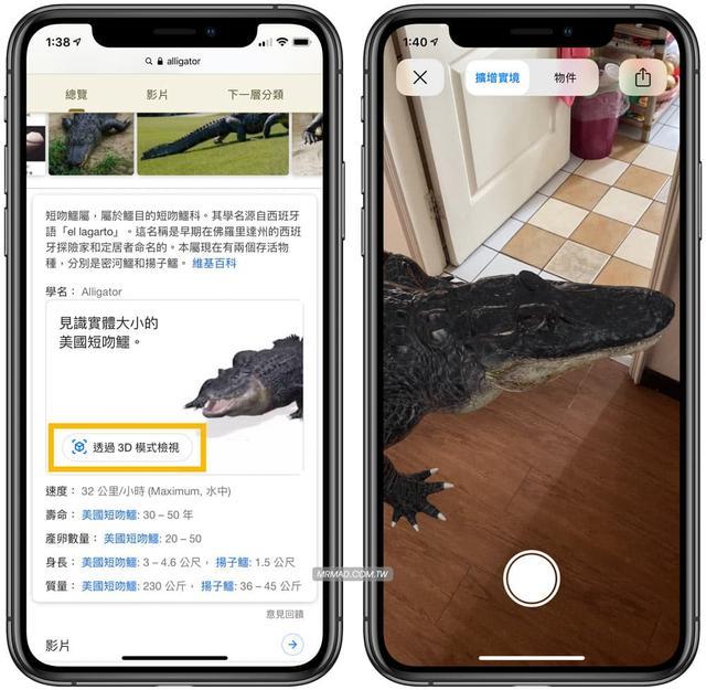免安裝 使用google 搜尋召喚ar 動物 恐龍 獅子 熊貓 鯊魚 到現實環境 逍遙の窩