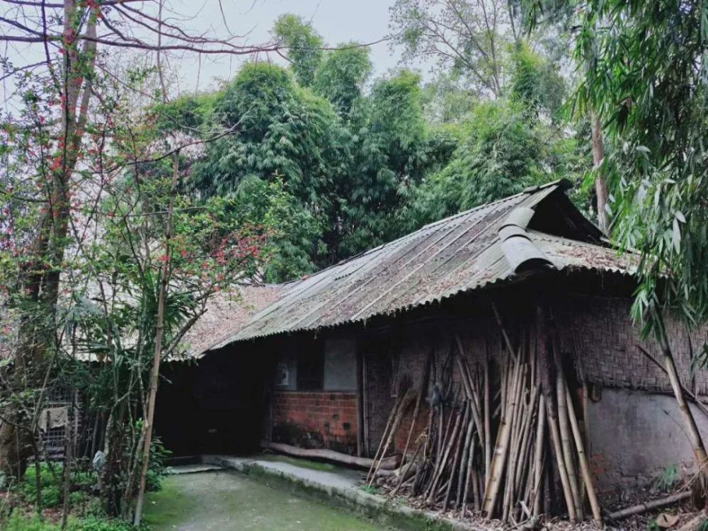 2020中国十大名村排名_比小城市还富裕的中国十大名村排行