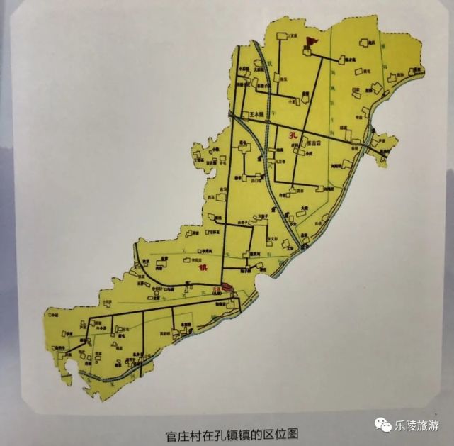 孔镇镇官庄村听说这里有古老的菩提树