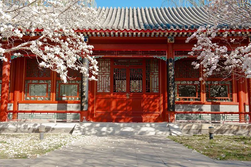 他们来到北大,与一批志同道合的同行一起,创建了中国经济研究中心