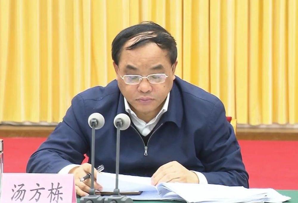 市委党的建设工作领导小组暨履行全面从严治党主体责任