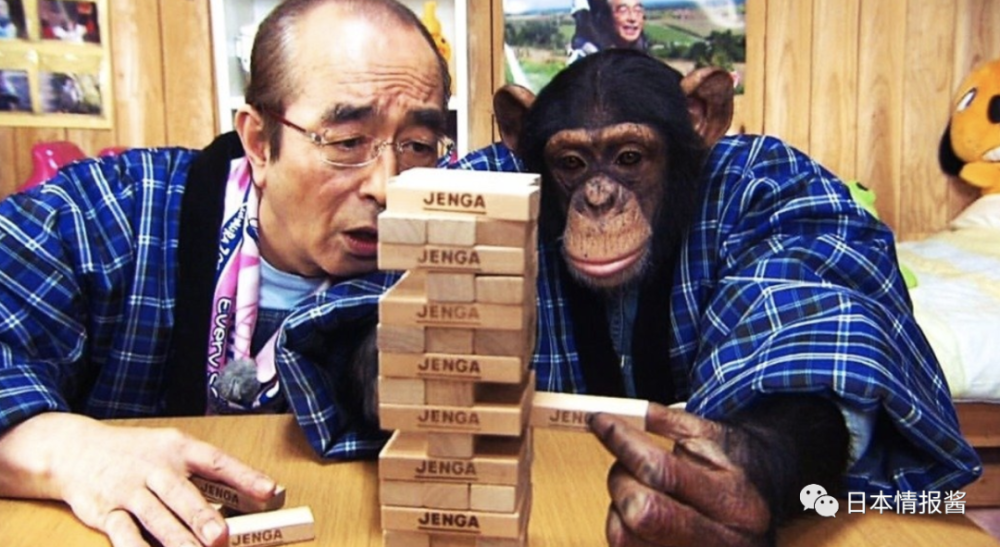 搞笑是一件严肃的事 敬 志村健 日本职人爆笑王 腾讯新闻