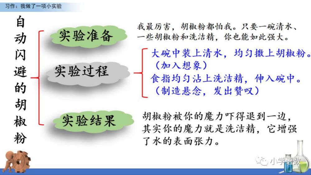 统编版三年级语文下册课文精讲 语文园地四 习作 我做了一项小实验 图文讲解 腾讯新闻