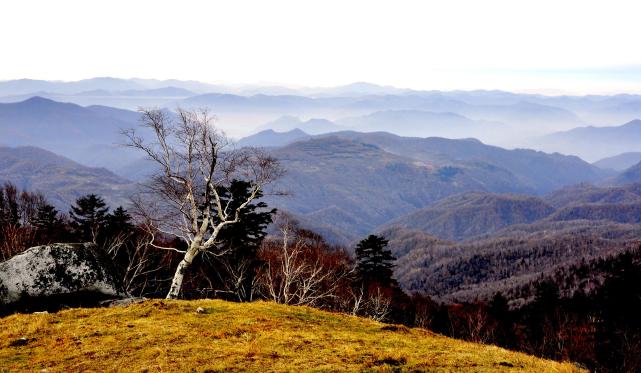 臨江市老禿頂子風景區又名將軍嶺, 海拔1426米,是東北50峰之一,鴨綠