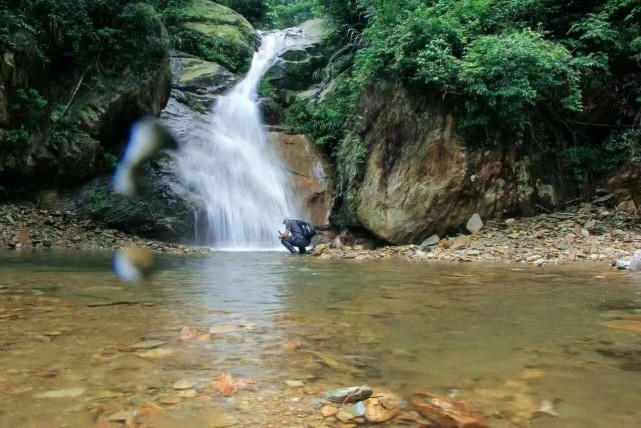 临湘羊楼司旅游景点图片