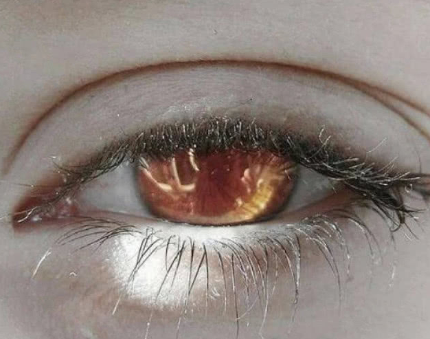 情感测试:四只眼睛,你在哪看到了绝望,测身边有多少人暗恋你!