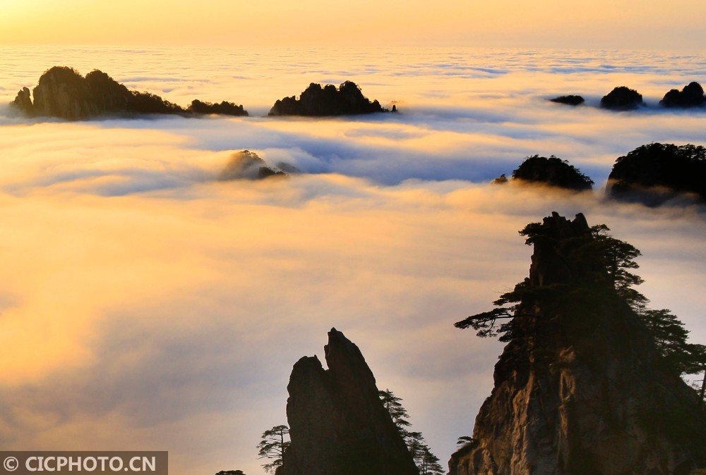 安徽黄山:云海绚丽壮美