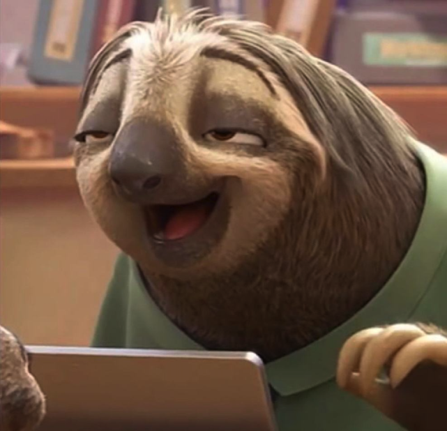 中一只说话时吐个字都恨不得休息五分钟名为"闪电"的树懒,认识到了无