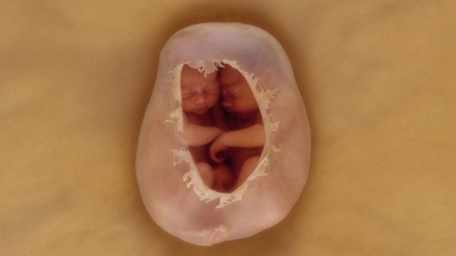 29周胎儿图片真人图片