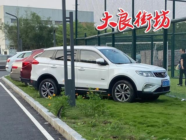 顺峰山公园新建半马跑道竟成停车场网友吵翻了