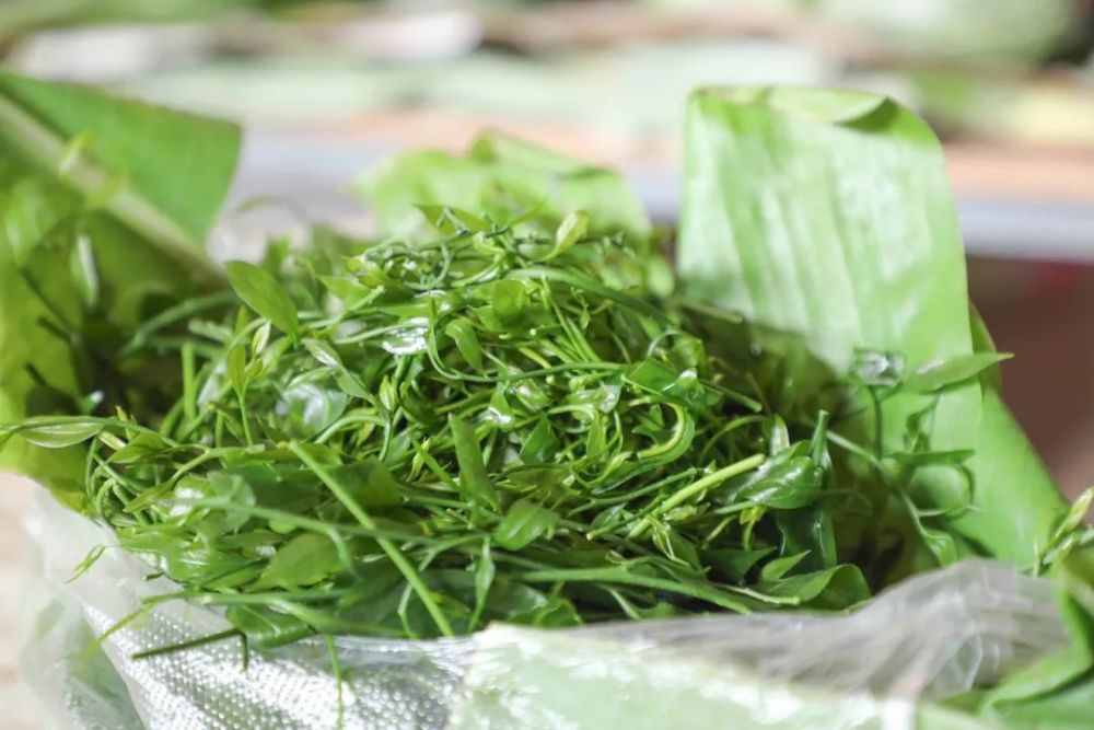 绝了元江人这样吃野花野菜