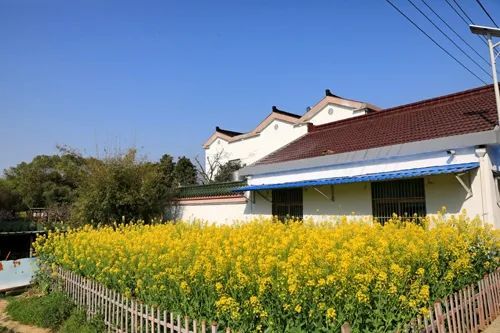 湟里西墅村孝爱原乡地三生和谐村