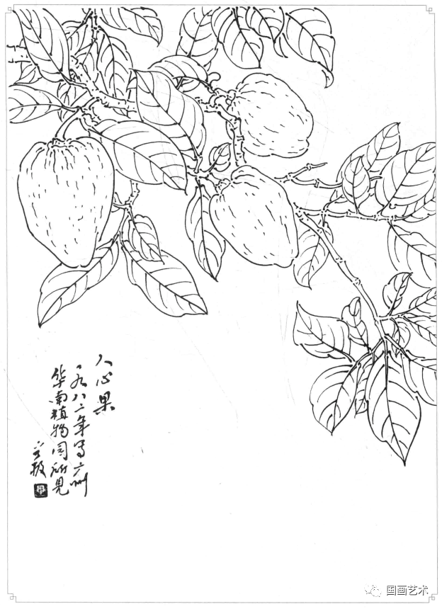 白描蔬果选页欣赏