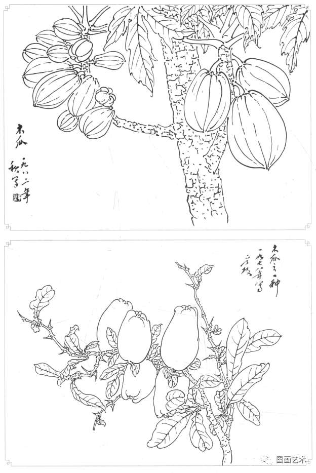 白描蔬果選頁欣賞