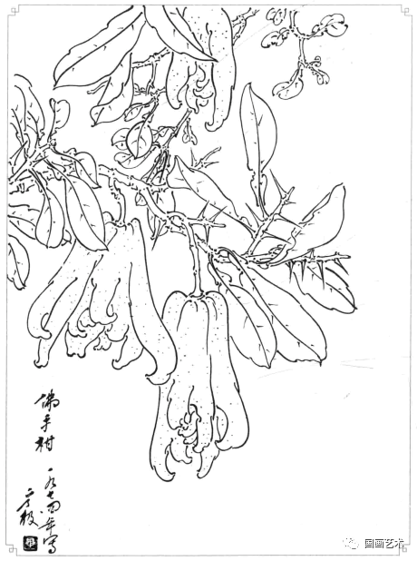 白描蔬果选页欣赏