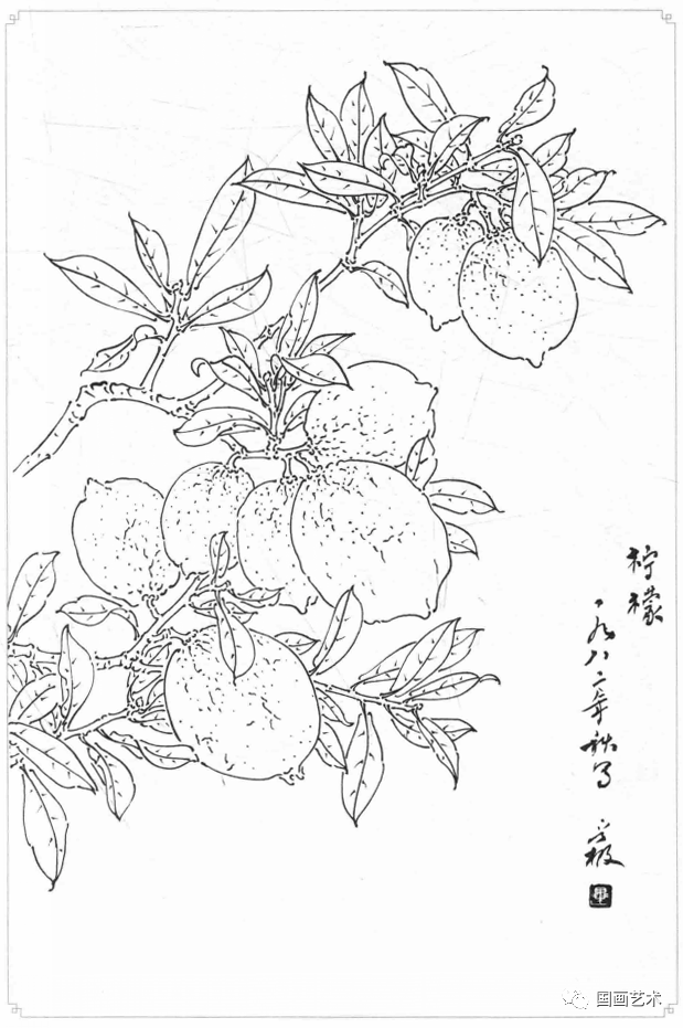 白描蔬果选页欣赏